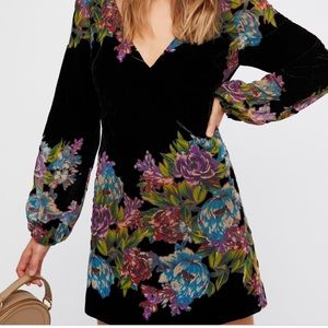 Misha Burnout Velvet Dress